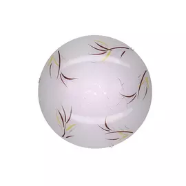 Светильник настенный Citilux Ива CL918009