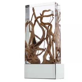 Светильник настенный Divinare 3200/09 AP-1