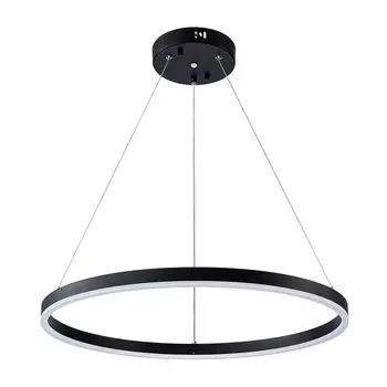 Светильник подвесной Arte Lamp A2548SP-45BK