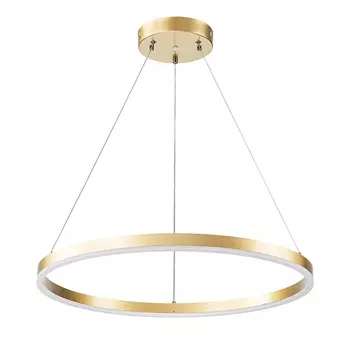 Светильник подвесной Arte Lamp A2548SP-45GO