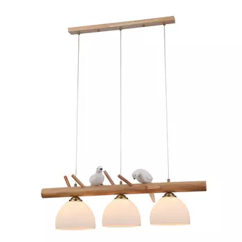 Светильник подвесной Arte Lamp a4183sp-3br