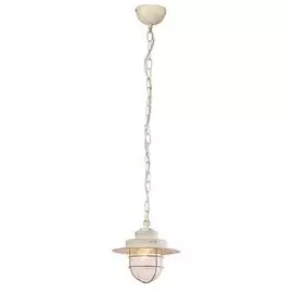 Светильник подвесной Arte Lamp A4579SP-1WG