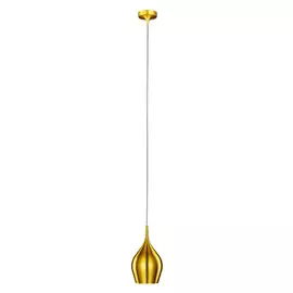 Светильник подвесной Arte Lamp A6412SP-1GO