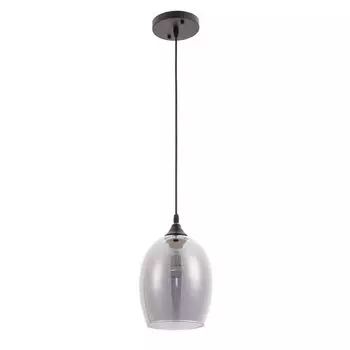 Светильник подвесной Arte Lamp Propus A4344SP-1BK