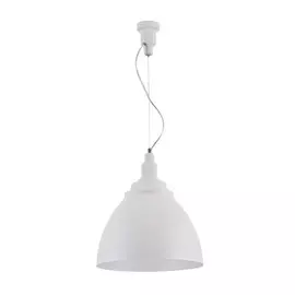 Светильник подвесной Maytoni P535pl-01w