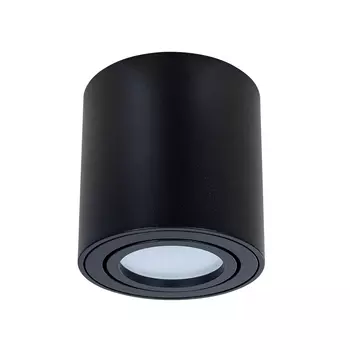 Светильник потолочный Arte Lamp A1513PL-1BK