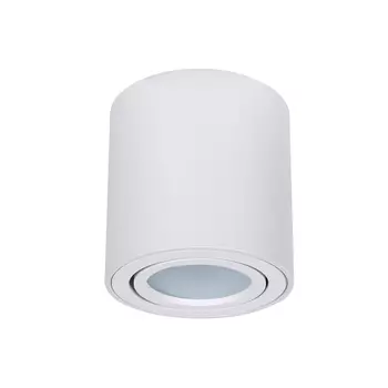 Светильник потолочный Arte Lamp A1513PL-1WH