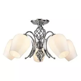 Светильник потолочный Arte Lamp A1608PL-5CC