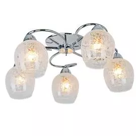 Светильник потолочный Arte Lamp A1674PL-5CC