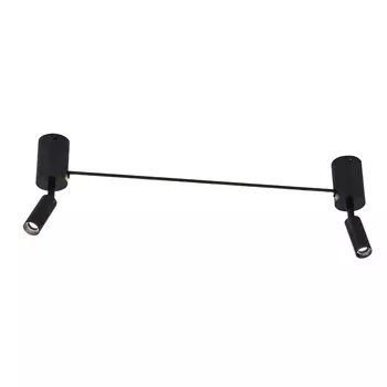 Светильник потолочный Arte Lamp A2219Pl-2Bk