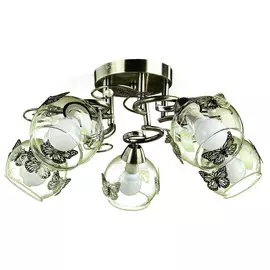 Светильник потолочный Arte Lamp A5004PL-5AB
