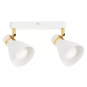 Светильник потолочный Arte Lamp A5047PL-2WH