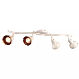 Светильник потолочный Arte Lamp A5219PL-4WG