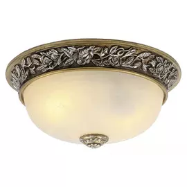 Светильник потолочный Arte Lamp A7141PL-2SB