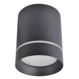 Светильник потолочный Arte Lamp ELLE A1949PL-1BK