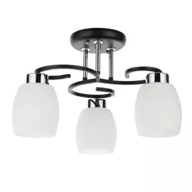 Светильник потолочный Arte Lamp KRIT A4505PL-3BK