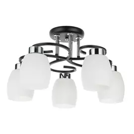 Светильник потолочный Arte Lamp Krit A4505PL-5BK