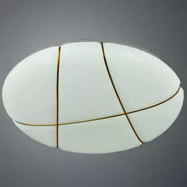Светильник потолочный Arte lamp led a2677pl-72go