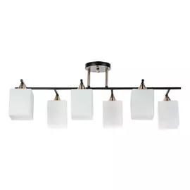 Светильник потолочный Arte Lamp Merope A4071PL-6BK