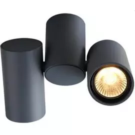 Светильник потолочный Artelamp A1511PL-2GY