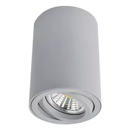 Светильник потолочный Artelamp A1560PL-1GY