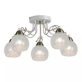 Светильник потолочный Artelamp A1633PL-5WG