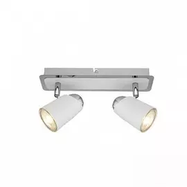 Светильник потолочный Artelamp A1635PL-2WH