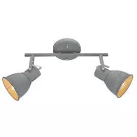 Светильник потолочный Artelamp A1677PL-2GY