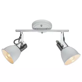 Светильник потолочный Artelamp A1677PL-2WH