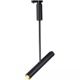 Светильник потолочный Artelamp A2513PL-1BK