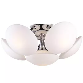 Светильник потолочный Artelamp A2550PL-6CC