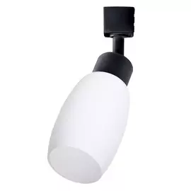 Светильник потолочный Artelamp A3055PL-1BK