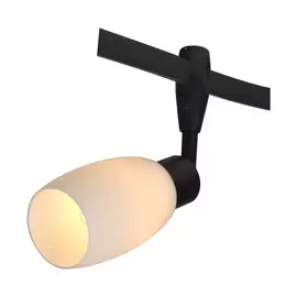 Светильник потолочный Artelamp A3059PL-1BK