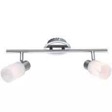 Светильник потолочный Artelamp A4510PL-2SS