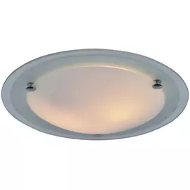 Светильник потолочный Artelamp A4831PL-2CC