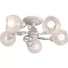 Светильник потолочный Artelamp A5028PL-5WH