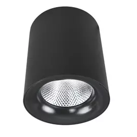 Светильник потолочный Artelamp A5112PL-1BK