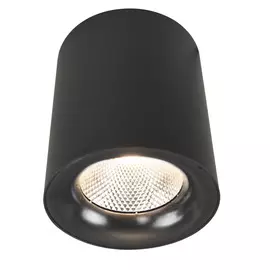 Светильник потолочный Artelamp A5118PL-1BK