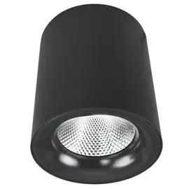 Светильник потолочный Artelamp A5130PL-1BK