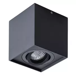 Светильник потолочный Artelamp A5544PL-1BK