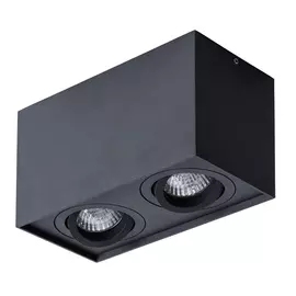 Светильник потолочный Artelamp A5544PL-2BK