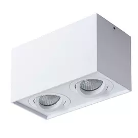 Светильник потолочный Artelamp A5544PL-2WH