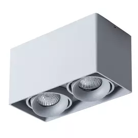 Светильник потолочный Artelamp A5654PL-2GY