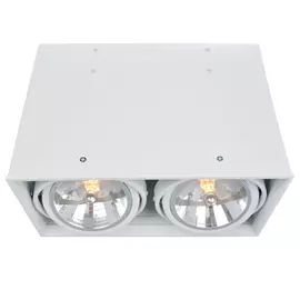 Светильник потолочный Artelamp A5936PL-2WH