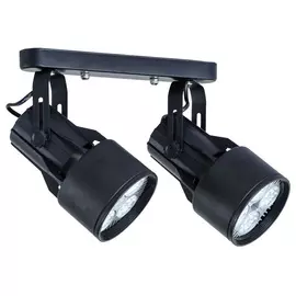 Светильник потолочный Artelamp A6252PL-2BK