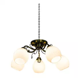 Светильник потолочный ArteLamp (A6373PL-5AB)