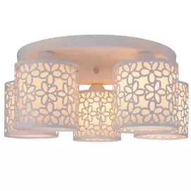 Светильник потолочный ArteLamp A8349PL-5WH