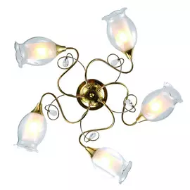 Светильник потолочный ArteLamp A9289PL-5GO