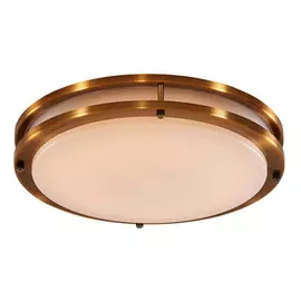 Светильник потолочный Citilux Бостон CL709253