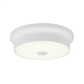 Светильник потолочный Citilux Фостер-2 CL706210